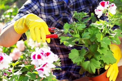 Professional garden clearance service in Downham
