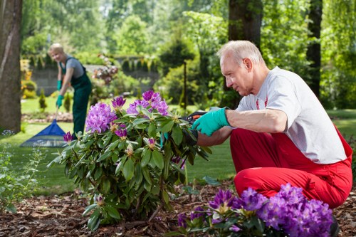 Electric low-emission van used by local lawn care team
