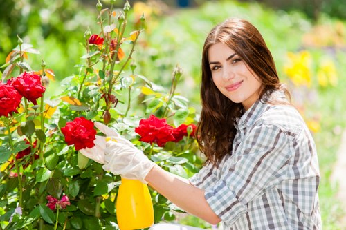 A young woman with long brown hair, wearing a light blue and white checkered shirt, is tending to a vibrant garden in daylight. She is holding a yellow spray bottle and appears to be pruning or caring for bright red roses that are growing in a well-maintained garden bed. Behind her, there are lush green shrubs, a mixture of flowering plants, and a background of trees and other garden elements, indicating a landscaped outdoor space typical of a residential garden near Downham in the UK. The garden features a combination of flower beds, neatly trimmed foliage, and natural soil patches, with details such as the textured surface of the soil and the soft green grass. The scene is illuminated by natural light, suggesting a clear and sunny day, creating a warm and inviting outdoor environment that complements professional gardening and lawn care services offered by Lawn Mowing Downham.