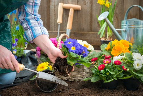 Different types of lawn mowers for various yard sizes