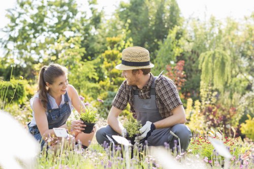 A man and woman are kneeling on a well-maintained lawn in a lush garden, engaging in planting or gardening activities. The man, wearing a straw hat, checked shirt, grey overalls, and gardening gloves, is holding a small plant pot, while the woman, dressed in a denim apron and a light top, is smiling and observing. The garden features vibrant flowering plants in shades of purple, red, and pink in flower beds, with a background of mature trees, shrubs, and a neatly trimmed hedge. The lawn has a dense, green, evenly cut grass surface, bordered by paved pathways and wooden decking visible to the side. Bright sunlight filters through the leafy trees, indicating a clear day, and the environment suggests an inviting outdoor space tailored for gardening and landscaping activities. These elements reflect professional lawn care and garden maintenance, supporting the services offered by Lawn Mowing Downham, especially in the local context of Downham with its suburban outdoor gardens.