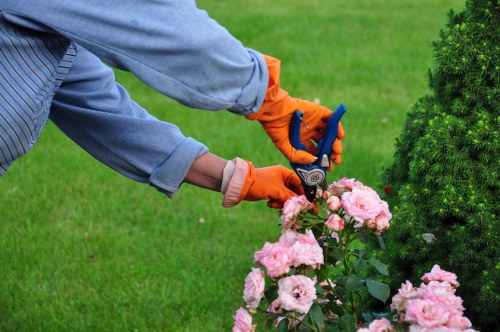 Healthy green lawn maintained by experts